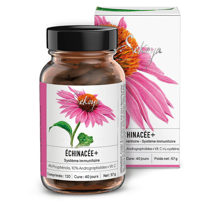 Échinacée +